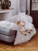 Hundesofa