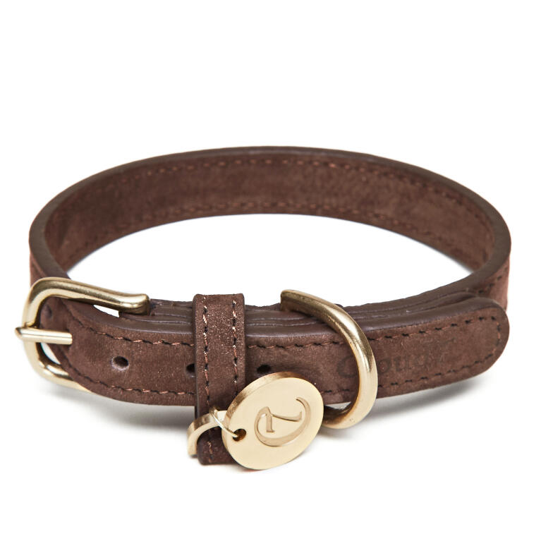 Cloud7 / Lederhalsband für Hunde / Mokka / Größe M Hundehalsbänder