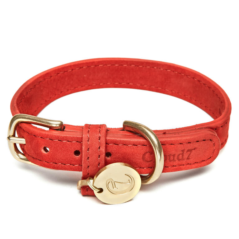 Cloud7 / Lederhalsband für Hunde / Kirschrot / Größe M