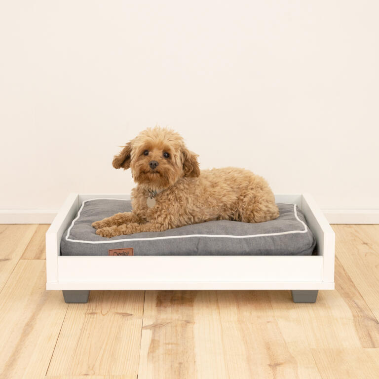 Fido Hundesofa Gestell Small Mit Hundebett Fido Hundesofa Bett