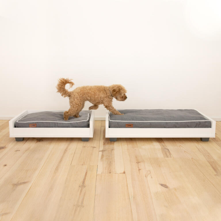 Fido Hundesofa Gestell Small Mit Hundebett Fido Hundesofa Bett