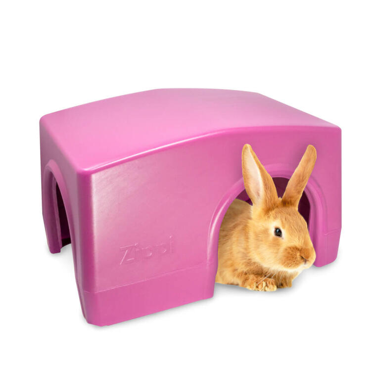zippi kaninchen unterschlupf violett kaninchen auslauf zubehor