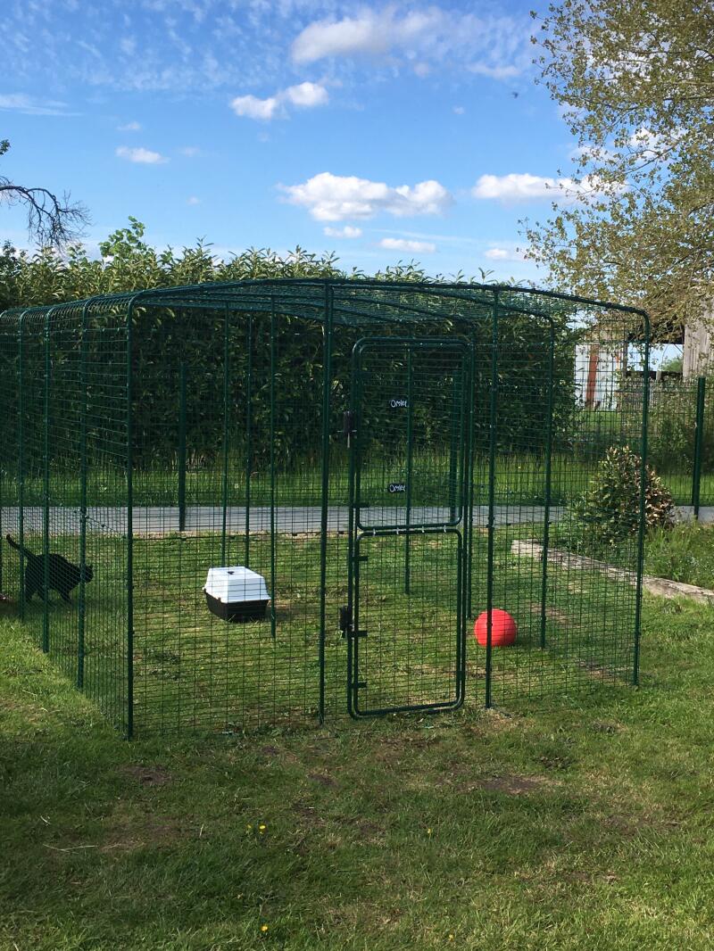 Outdoor Katzengehege Katzen Omlet