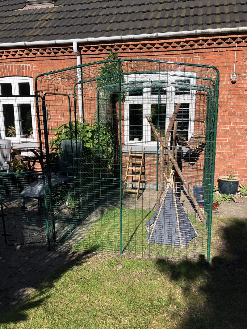 Omlet Outdoor Katzengehege Katzengehege für draußen, Katzenmöbel