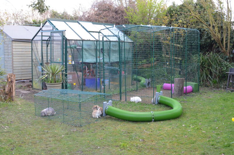 outdoor rabbit run