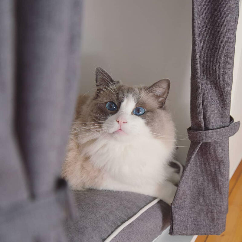 Maya Nook Luxus Katzenhaus Omlet