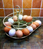 Perfekt, um eine reihe von eiern zu präsentieren