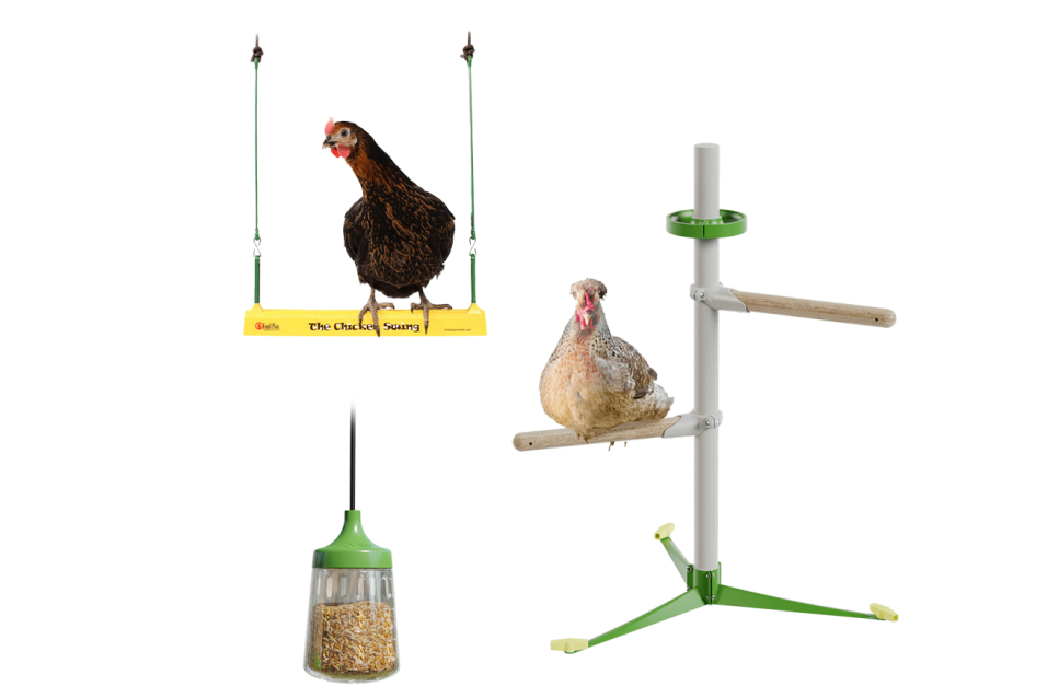 Spielzeug und sitzstangen für hühner