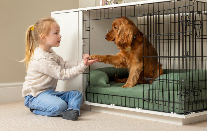 Ein Kind beim Spielen mit einem Hund in der Hundebox