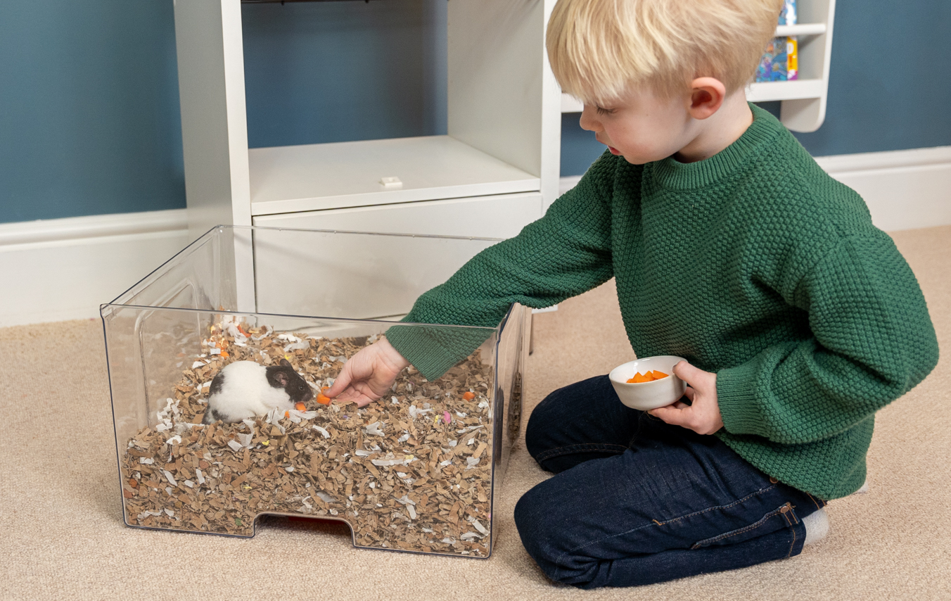 Ein Kind füttert einen Hamster in der Einstreuschublade des Qute Hamsterkäfigs