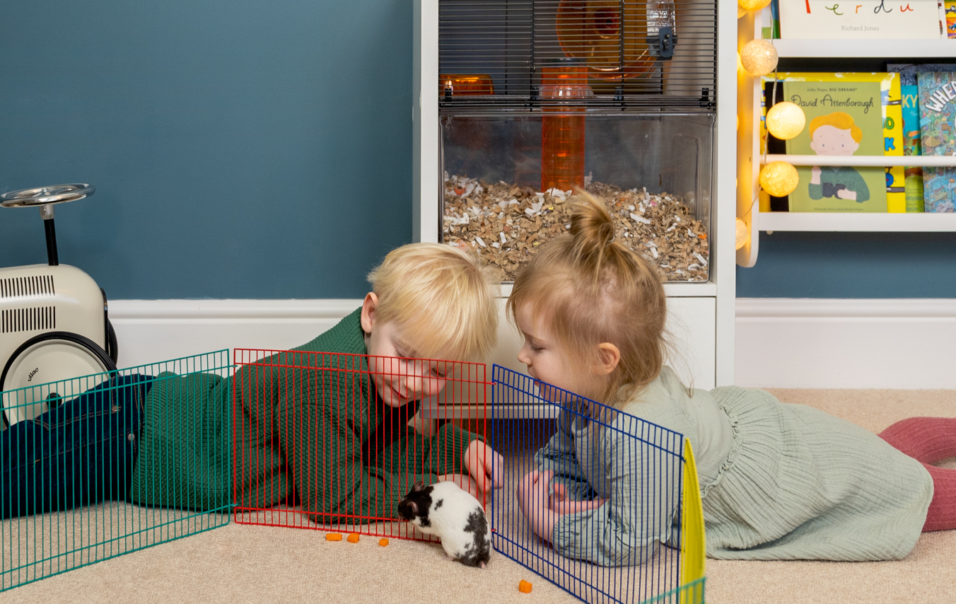 Kinder beim Spielen mit ihrem Hamster