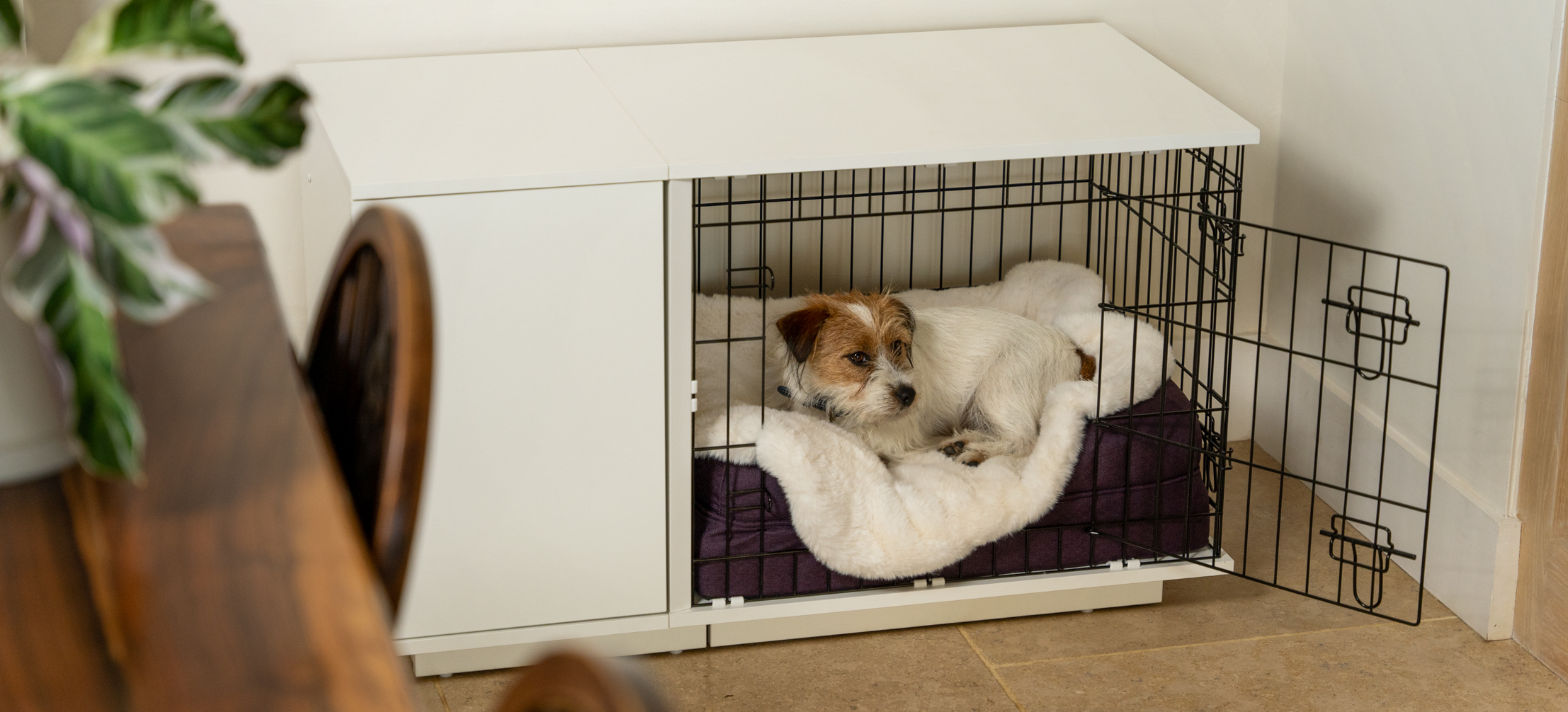 Ein Jack Russell Terrier in seiner Fido Hundebox mit einer luxuriösen Hundedecke in Schaffellimitat-id=