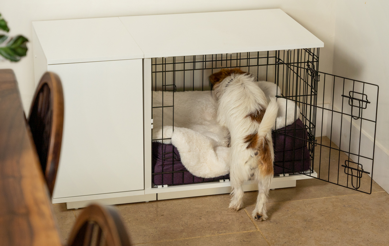 Ein Jack Russell Terrier, der es sich in seiner Fido Studio Hundebox von Omlet auf der luxuriösen Hundedecke aus Schaffellimitat gemütlich macht