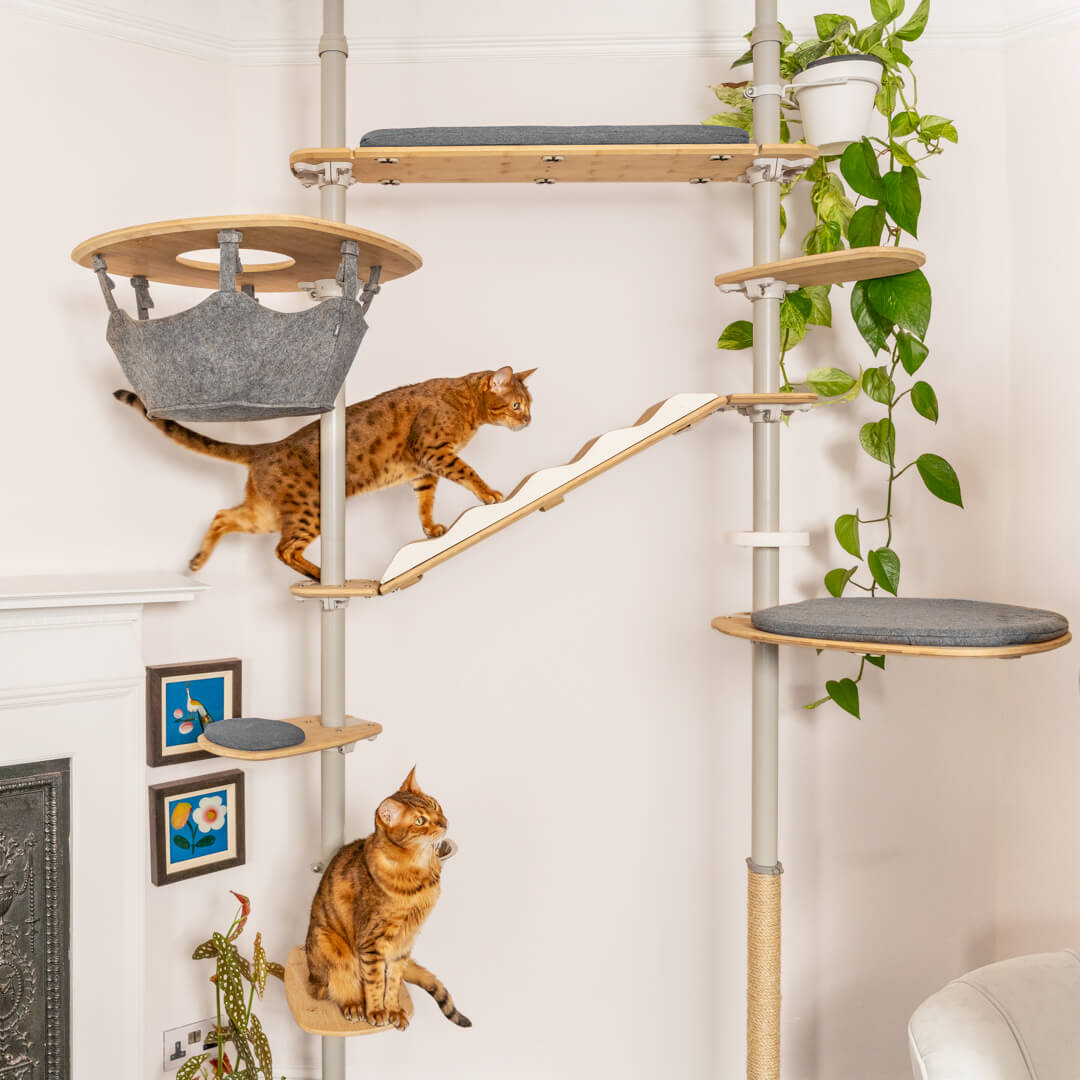 Produktbild von VEVOR Kratzbaum 80cm - Katzenbaum Mit Haus, Hängematte & Spielzeug