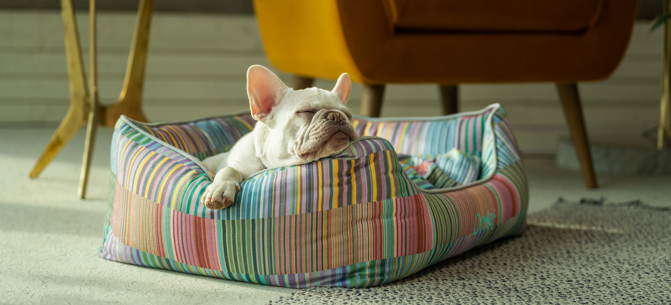 Eine Französische Bulldogge genießt ein Nickerchen auf ihrem Omlet Hundenest mit dem Motiv Pawsteps Electric.