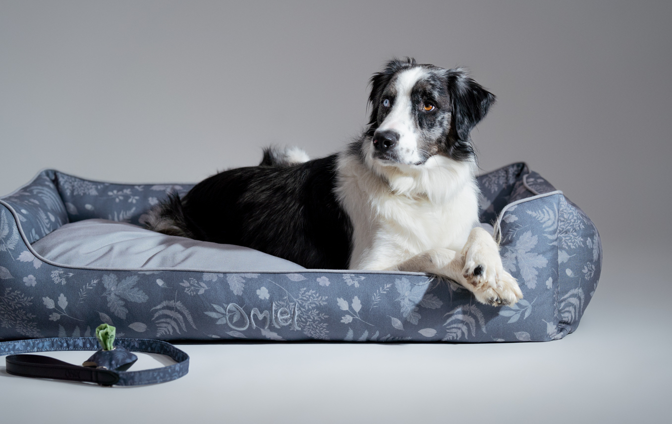 Ein Border Collie entspannt sich auf seinem Omlet Hundenest mit dem Motiv Forest Fall