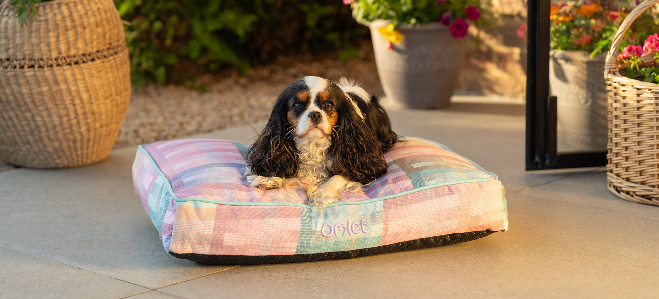 Ein Cavalier King Charles Spaniel auf seinem Omlet Hundekissen in Prism Kaleidoscope