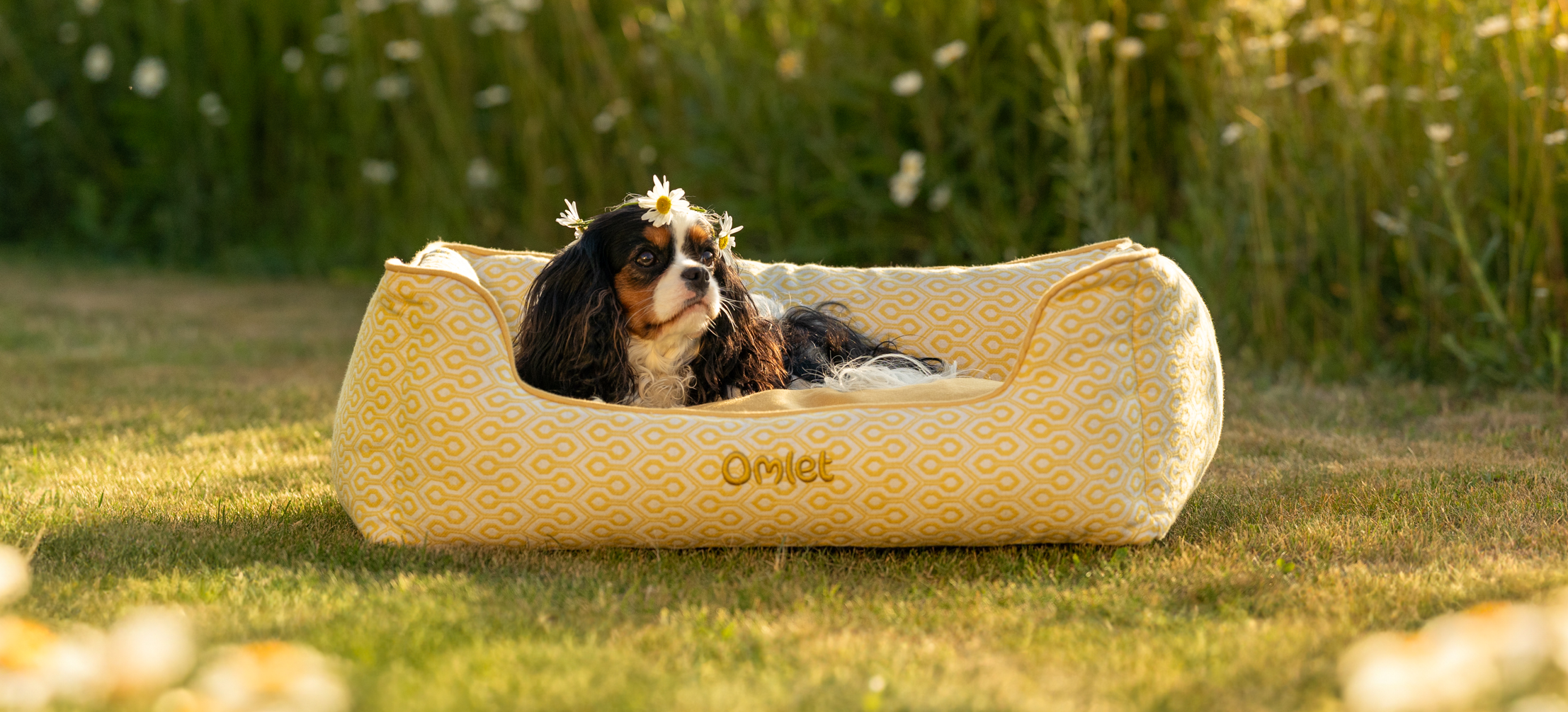 Ein King Charles Spaniel genießt seine Zeit auf dem Omlet Hundenest in Honeycomb Pollen
