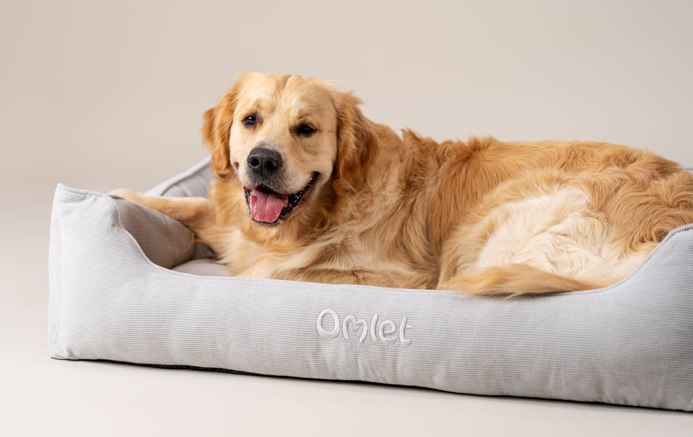 Ein Golden Retriever auf seinem Omlet Hundenest in Corduroy Pebble