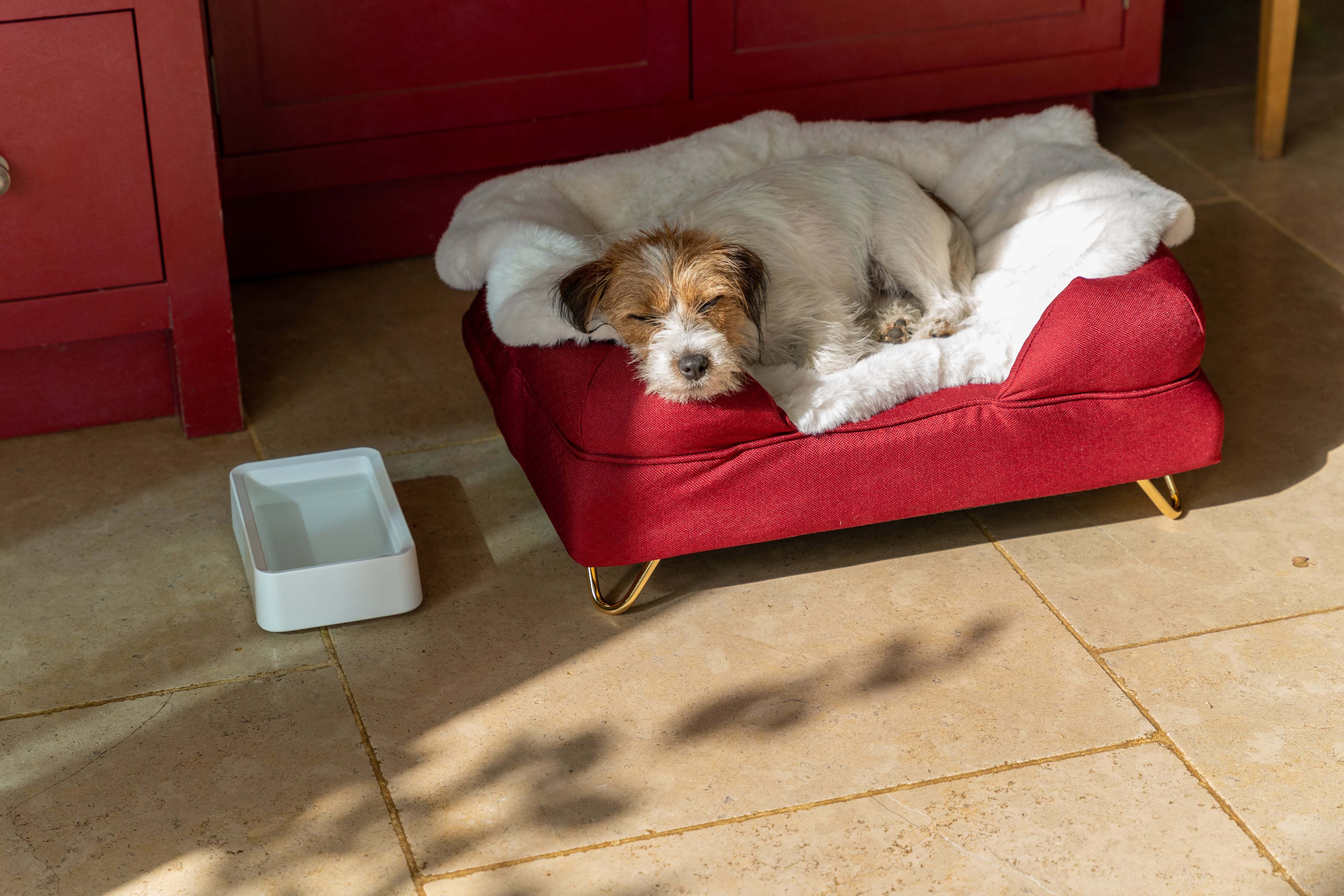 Ein Jack Rusell Terrier schläft auf seinem Omlet Hundesofa, neben dem ein Omlet Futternapf steht