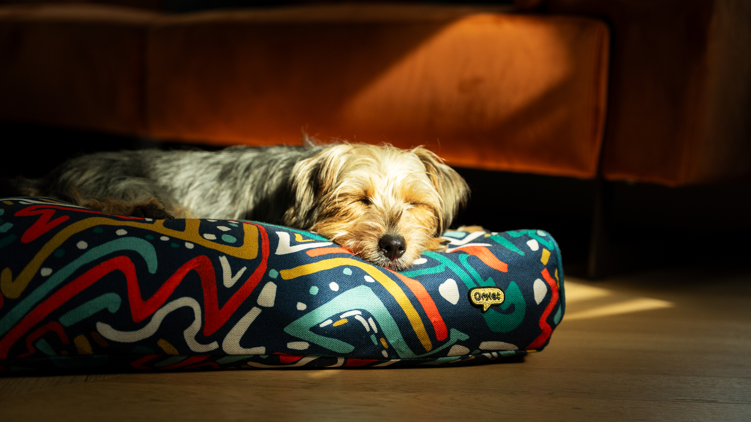 Ein Terrier auf dem Omlet Hundekissen