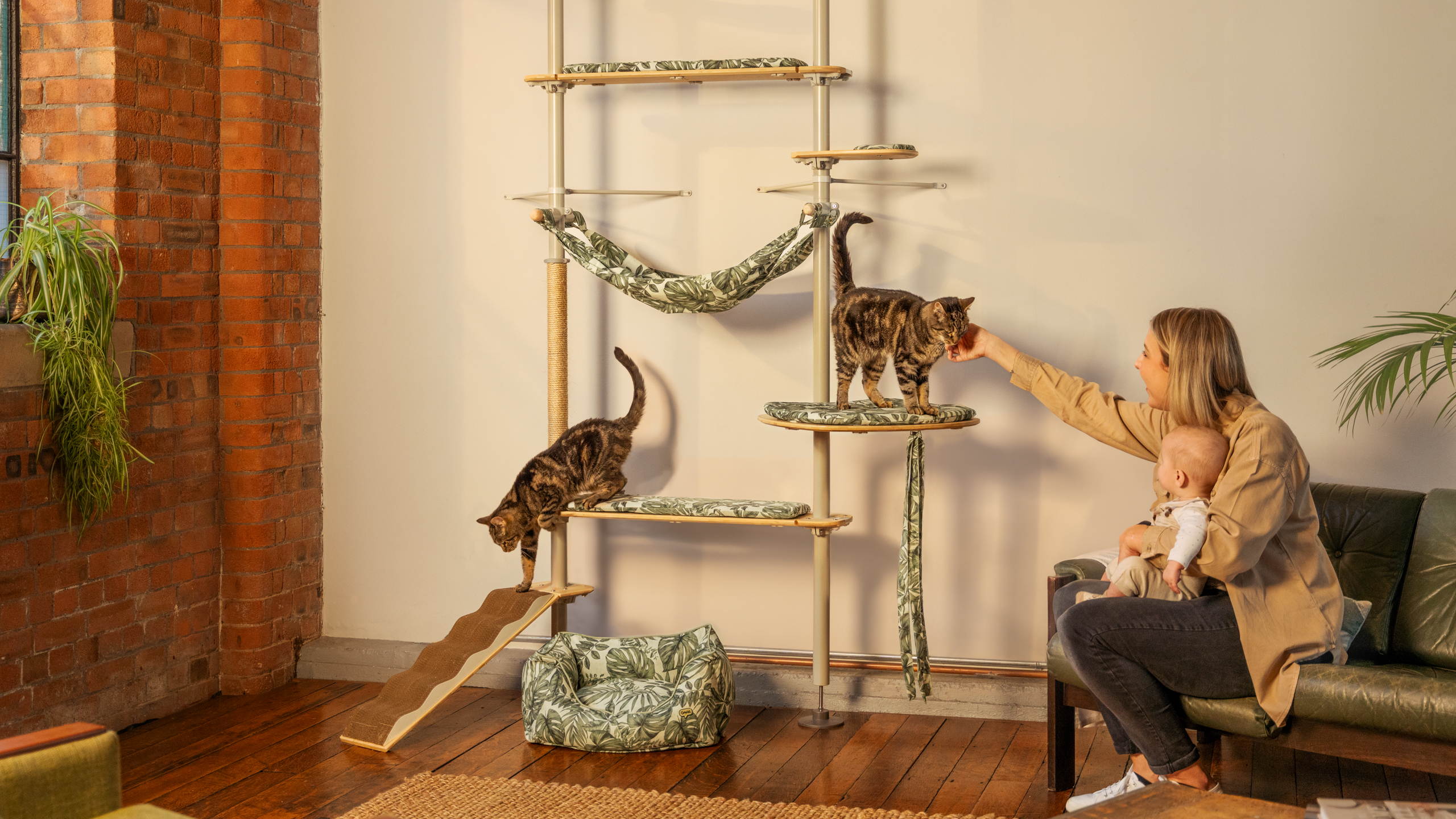 Eine Frau spielt mit ihren Katzen, die auf dem Omlet Freestyle Kletterbaum sind