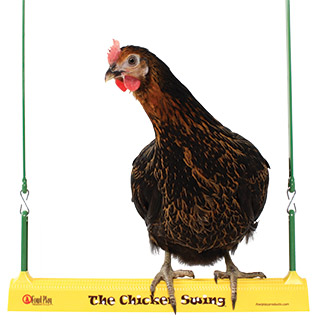 Hühnerschaukel "Chicken Swing"