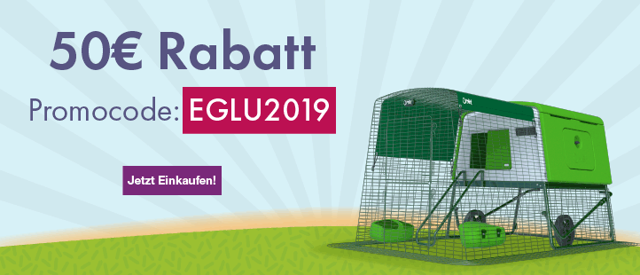January Eglu Offer