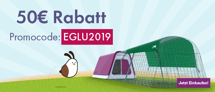 January Eglu Promotion