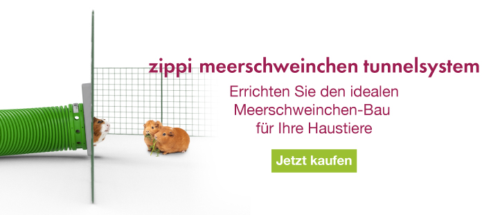 Meerschweinchen zähne nachwachsen können Zähne könnten