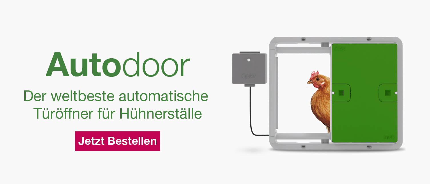 Autodoor Banner