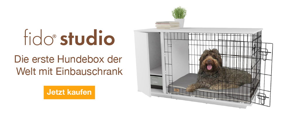 Fido Studio Banner