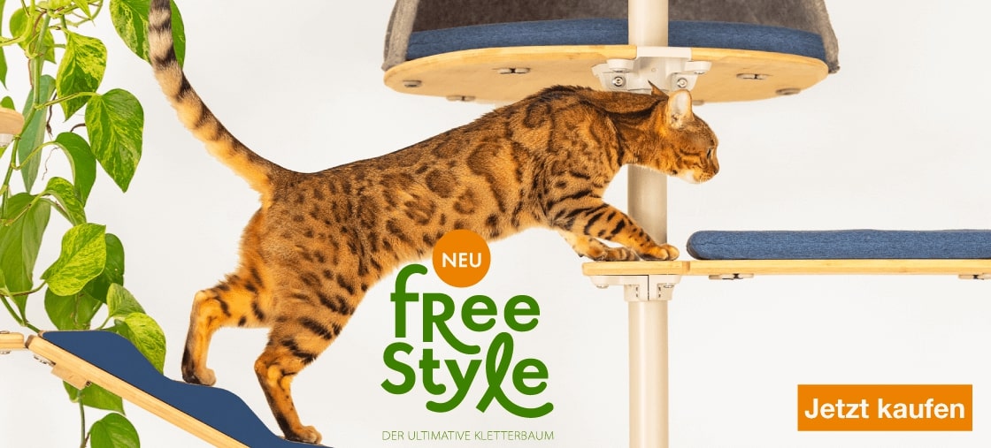 Katze klettert auf indoor-kratzbaum-brücke.