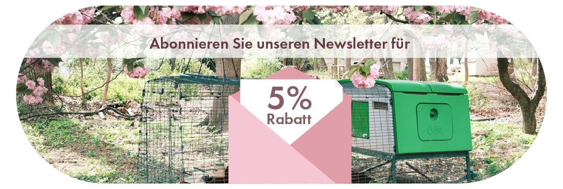 Newsletter Sign Up