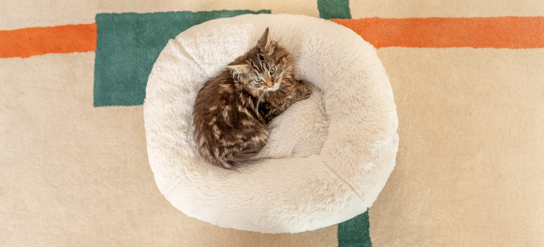 Eine Katze, die sich auf Omlets Maya Donut Katzenbett eingekuschelt hat