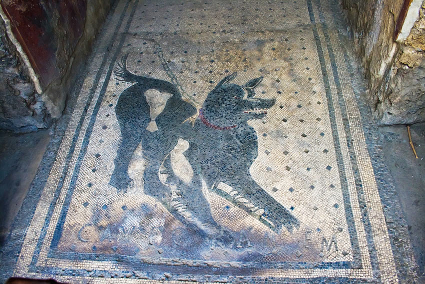 Ein Römisches Mosaik