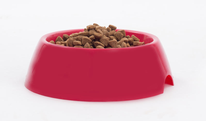 Ein Napf mit Trockenhundefutter