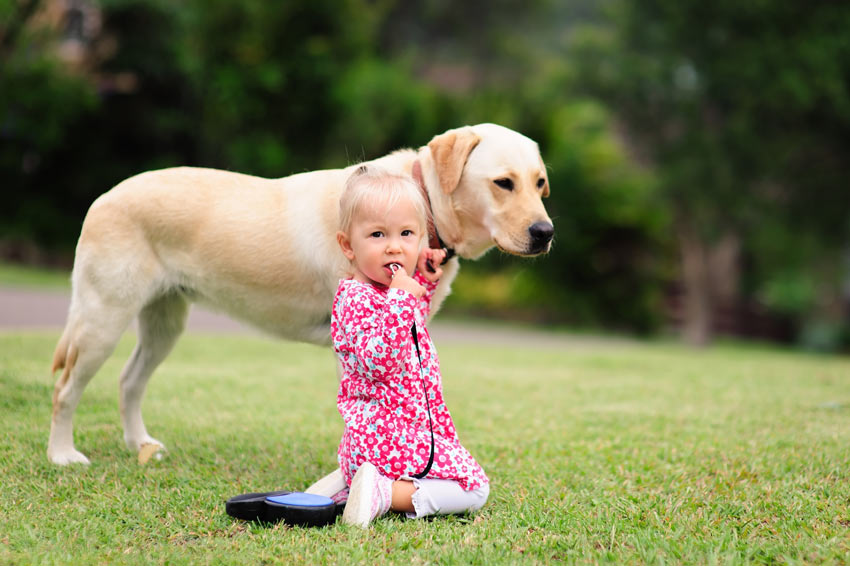 Ein kleines Mädchen mit ihrem Labrador