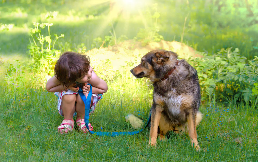 Ein junges Mädchen führt ihren Hund spazieren