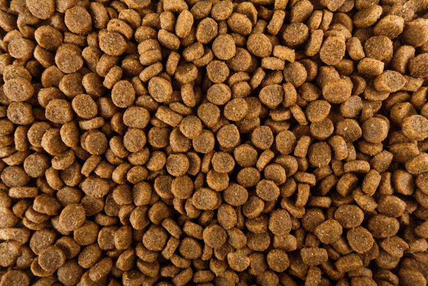 Herkömmliches Trockenfutter