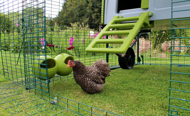 Die Omlet Futter- und Trinkbehälter sind geschickt an den Auslauf des Eglu Hühnerstalls befestigt