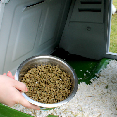 Die Futterschale in das Innere des  Eglu Go Hasenstalls stellen