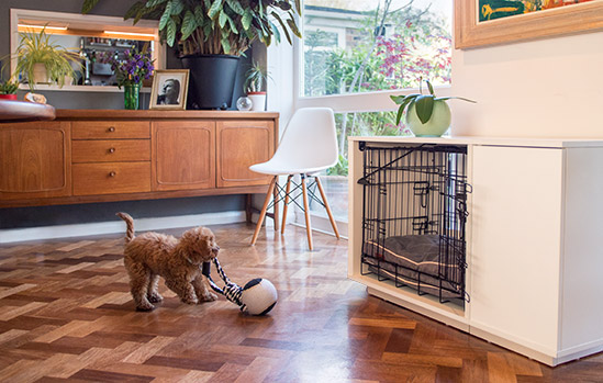 Fido Nook sieht stylish in einer traditionellen Umgebung aus