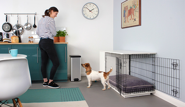 Das Fido Studio ist standardmäßig mit zwei Türen ausgestattet.