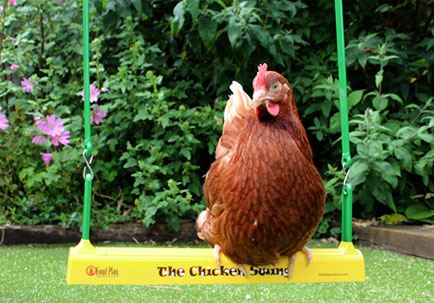 Ein Gingernut Ranger ruht sich auf der Chicken Swing aus