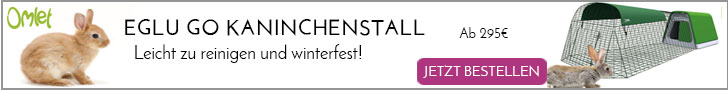 Winterfester Kaninchenstall mit Gehege