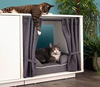 The Maya Nook curtains create an enclosed space for your cat