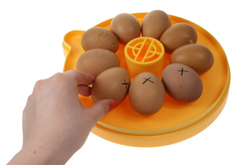 Ein Brinsea Mini-Inkubator Eco mit Eiern, die eine X-Kennzeichnung haben. 