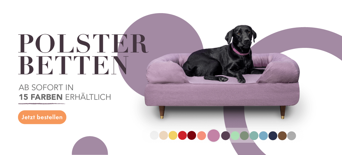 Memory Foam Polsterbett für Hunde