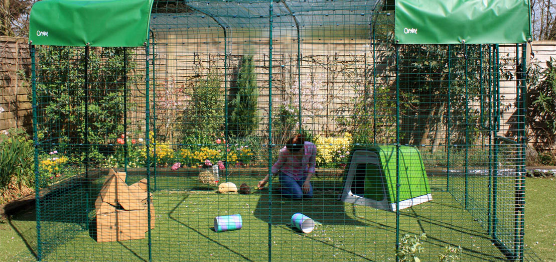 Eine erweitertes Outdoor Meerschweinchengehege